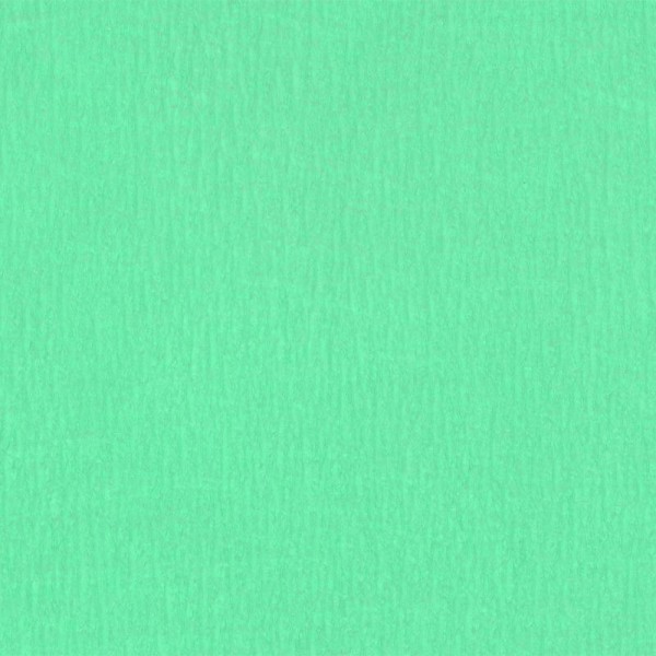Papier crépon Vert pastel 2,50 m x 0,50 m - Photo n°1