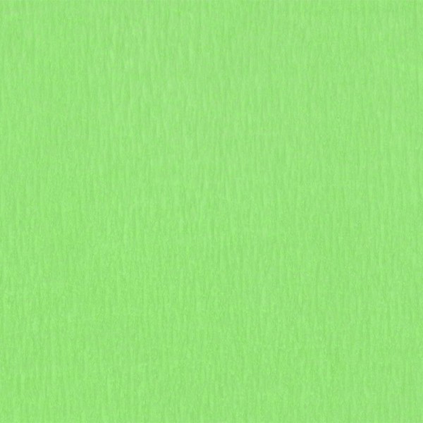 Papier crépon Vert pistache 2,50 m x 0,50 m - Photo n°1