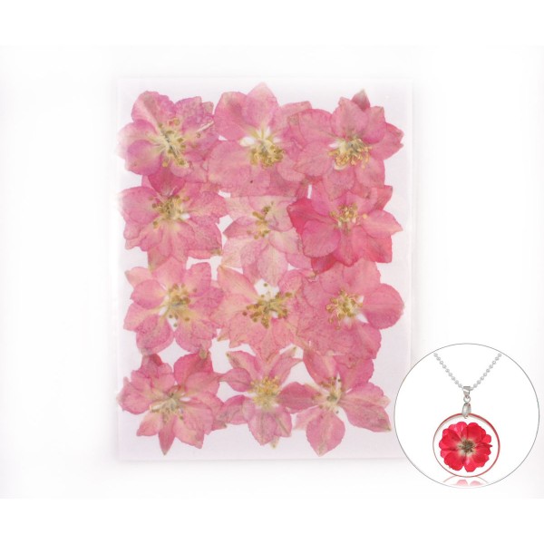 12pcs Rose Teint Pressé Séchées Larkspur Fleur de Plantes Sèches Époxy Résine UV Pendentif Nail Art - Photo n°1
