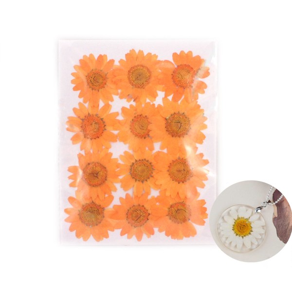 12pcs Teint Orange Pressé Séchée Fleur de Chrysanthème Plantes Sèches Époxy Résine UV Pendentif Nail - Photo n°1
