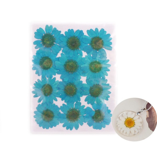 12pcs Teints en Bleu, Pressé Séchée Fleur de Chrysanthème Plantes Sèches Époxy Résine UV Pendentif N - Photo n°1