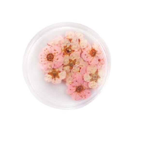 20pcs Rose Teint Pressé Séchées Peu Narcisse Fleur de Plantes Sèches Époxy Résine UV Pendentif Nail - Photo n°1