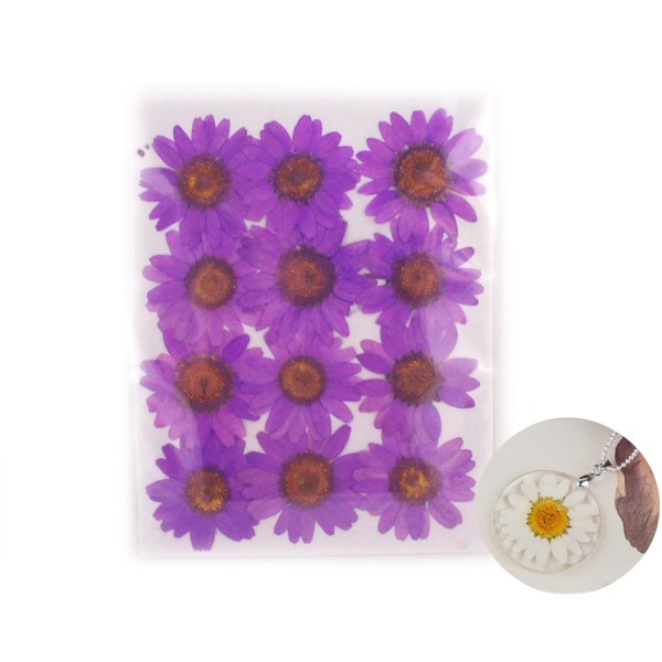 12pcs Violet Teint Pressé Séchée Fleur de Chrysanthème Plantes Sèches Époxy Résine UV Pendentif Nail - Photo n°1