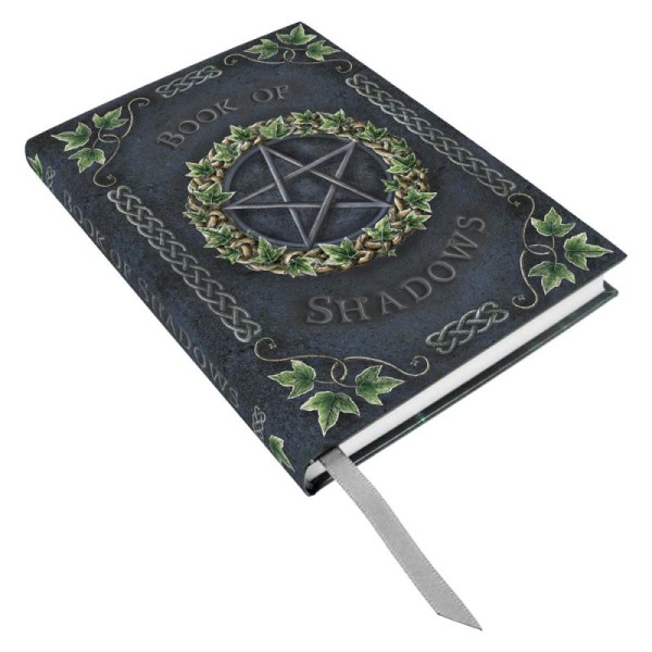 Carnet d'écriture book of shadows, grimoire celtique avec impression lierre et pentagramme - Photo n°1