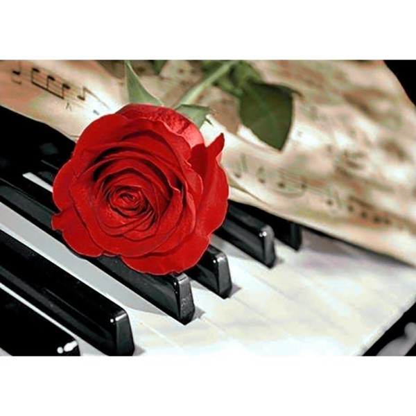 Broderie diamant kit- La musique de rose WD053- 38*27 cm - Photo n°1