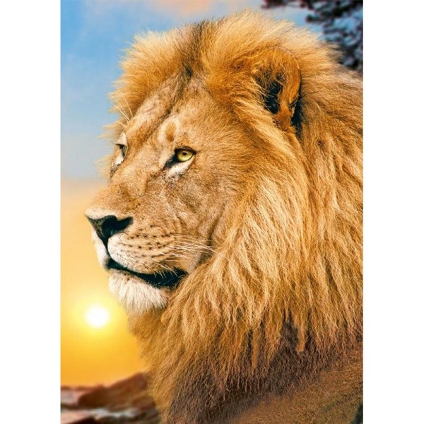 Broderie diamant kit- Lion King WD070- 27*38 cm - Photo n°1