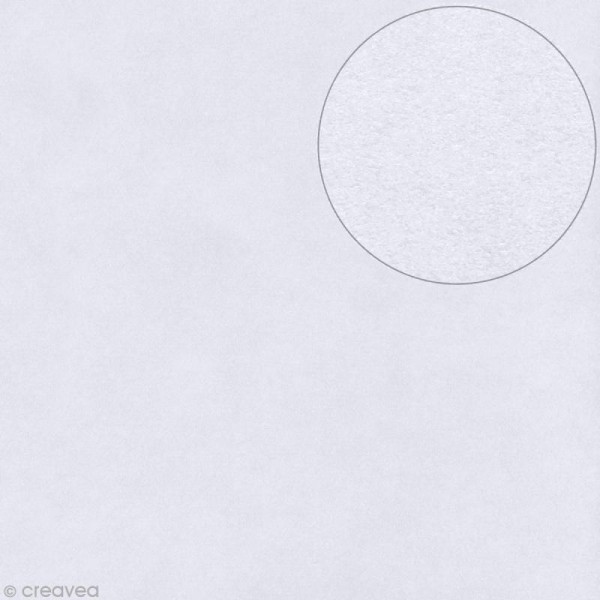 Papier Bazzill 30 x 30 cm - Lisse - Smoothies Date swirl (Gris acier) - Photo n°1