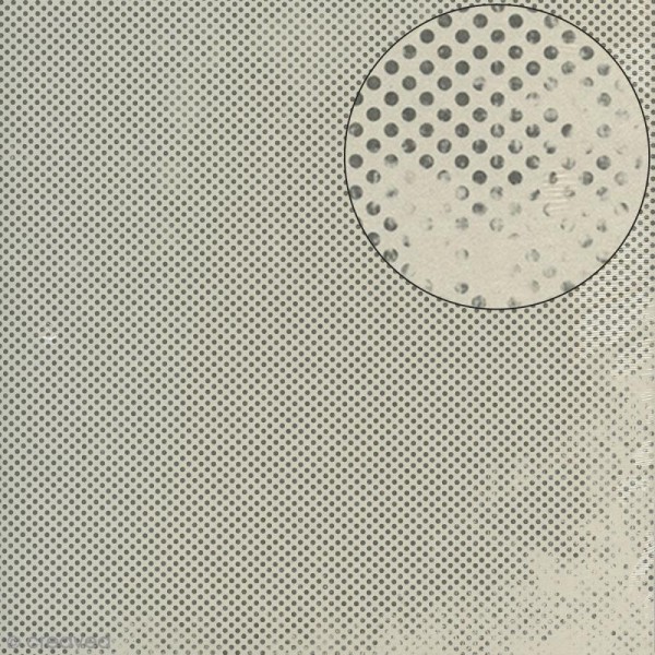 Papier Bazzill 30 x 30 cm - Lisse - Antique Micropoints (Noir et blanc) - Photo n°1