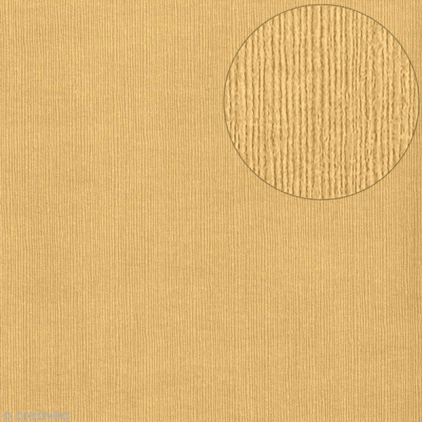 Papier scrapbooking Bazzill - Bamboo - Beige - 30 x 30 cm - Photo n°1