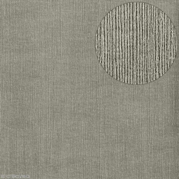 Papier scrapbooking Bazzill - Bamboo - Gris - 30 x 30 cm - Photo n°1