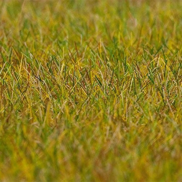 Fibres PREMIUM, pelouse, vert clair, 30 g - Faller - Photo n°1