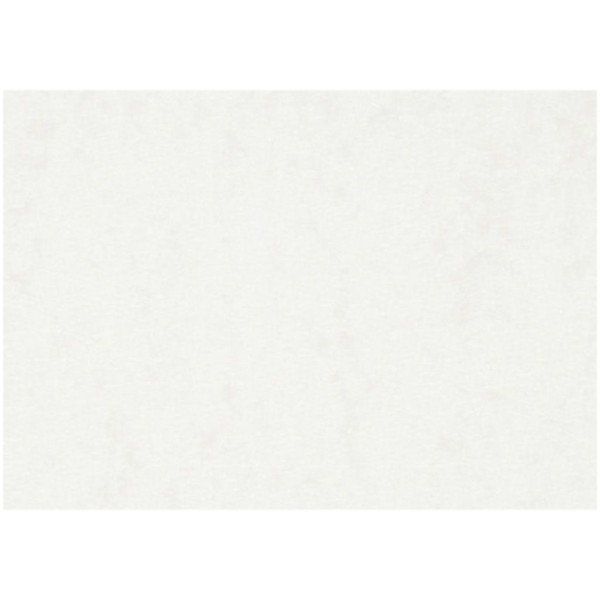 Papier aquarelle blanc A3 - 300 g - 100 feuilles - Photo n°1