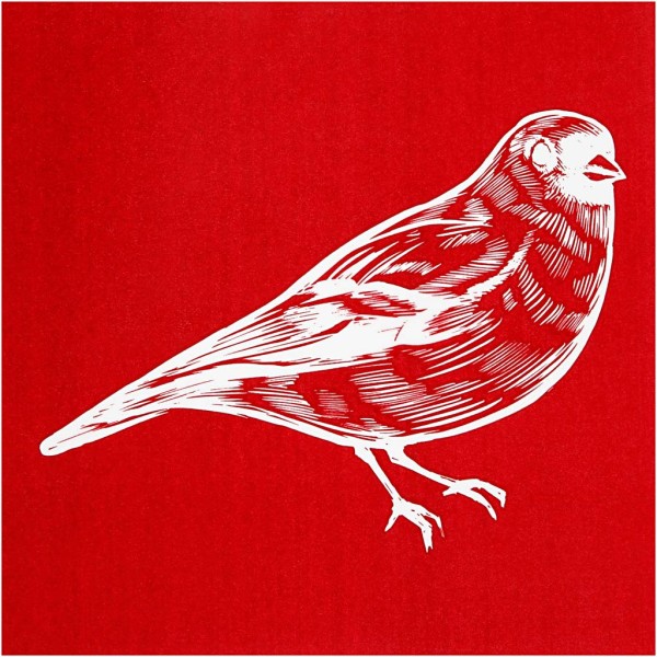 Pochoir Oiseau - 20 x 22 cm - 1 pce - Photo n°1