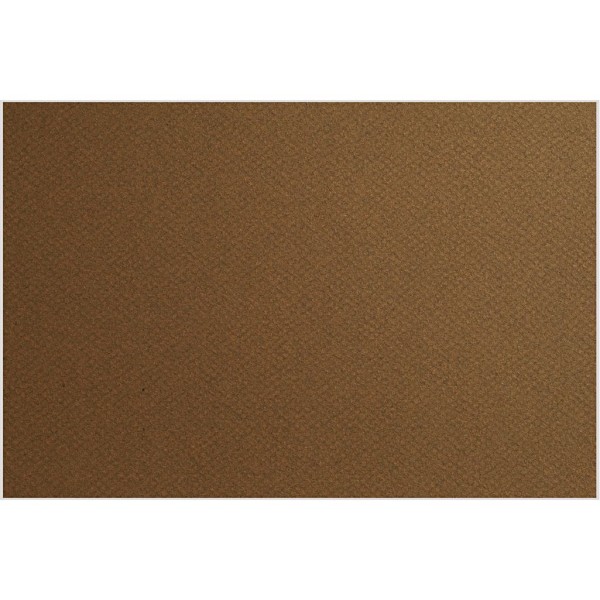 Carton Mi-Teintes, feuille 500x650 mm, 160 gr, 1 flles, Tobacco - Photo n°1