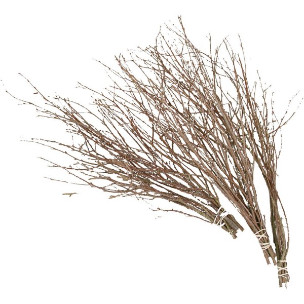 Branches de bouleau - 50-60 cm - 20 pcs - Photo n°1