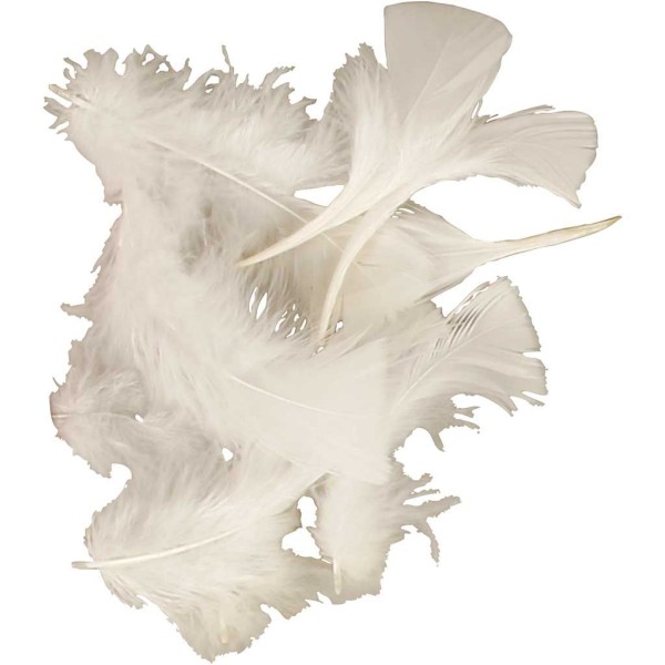Plume dindon 7 à 8 cm - Blanc - 50 g - Photo n°1