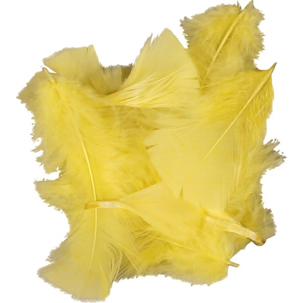 Plumes - Achat en gros, dim. 7-8 cm, 500 gr, jaune - Photo n°1