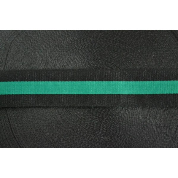 Galon bicolore noir et vert menthe 25mm - Photo n°1
