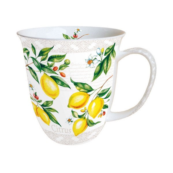 Mug, tasse, porcelaine AMBIENTE 10.5 cm 0.4 l AGRUME CITRUS - Photo n°1