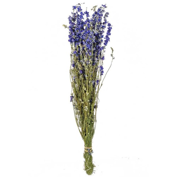 Bouquet fleurs séchées delphinium bleu - 70 cm. - Photo n°1