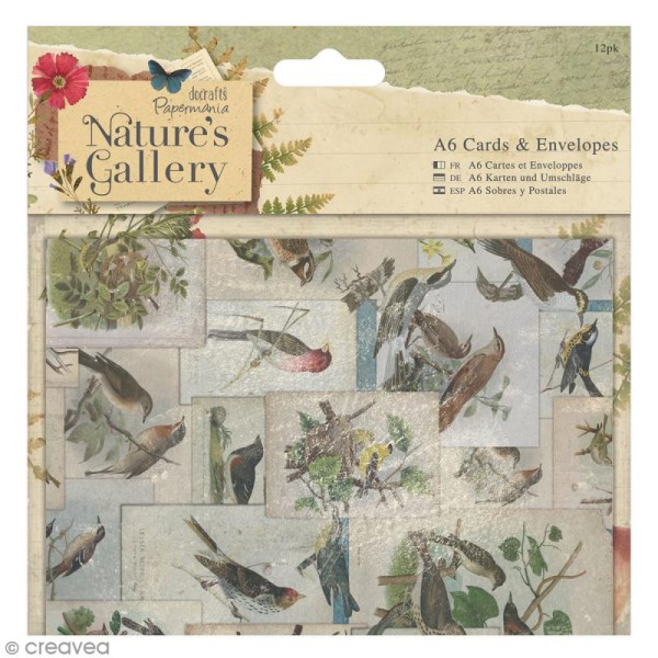 Lot de 12 cartes et 12 enveloppes Natures's gallery - 15 x 10,5 cm - Photo n°1