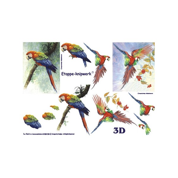 Carterie 3D A4  - 2 perroquets - Photo n°1
