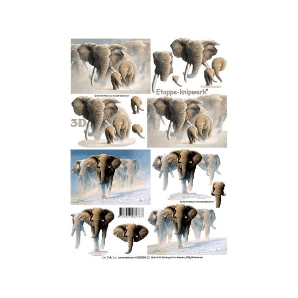 Carterie 3D A4  - Eléphants dans la poussière - Photo n°1