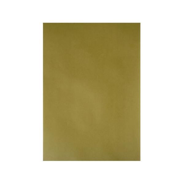 Papier Parchemin 150gr A4, Vert feuille - 5 feuilles - Photo n°1