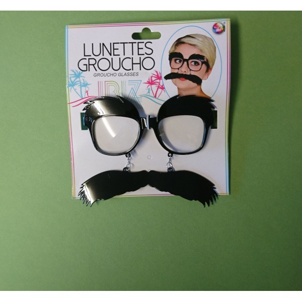 Lunettes groucho - Photo n°1