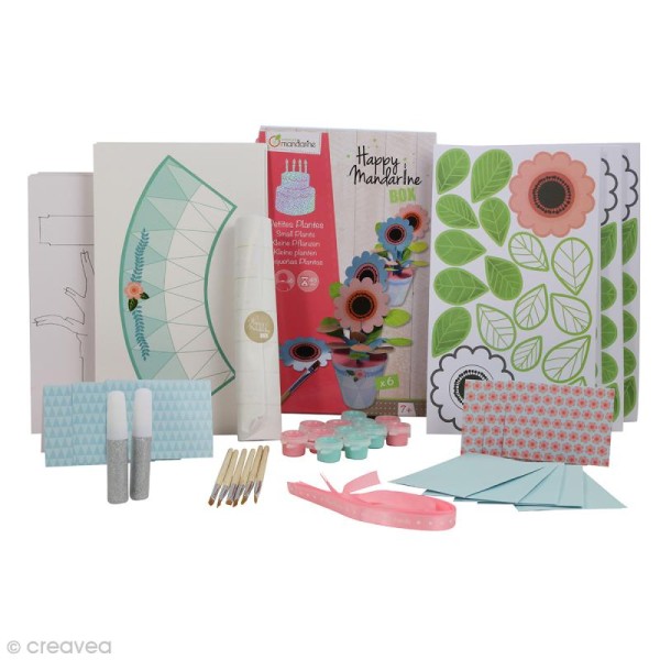 Kit créatif Happy Mandarine Box - Petites plantes - 6 personnes - Photo n°2