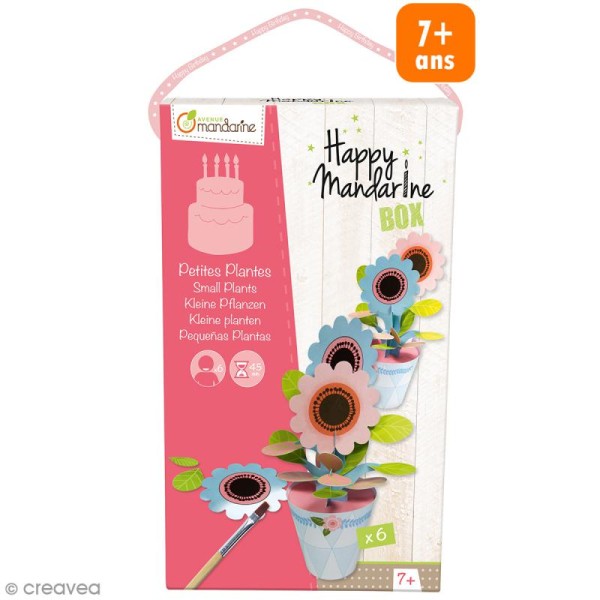 Kit créatif Happy Mandarine Box - Petites plantes - 6 personnes - Photo n°1