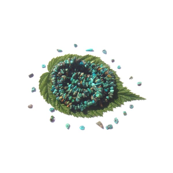 Turquoise naturelle multicolore : 80 chips 7/11 MM de diamètre environ - Photo n°1