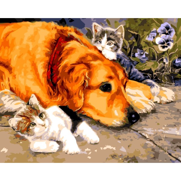 1pc Labrador Retriever Chien Deux Chatons Animal de compagnie Acrylique Bricolage Peinture Par Numér - Photo n°1