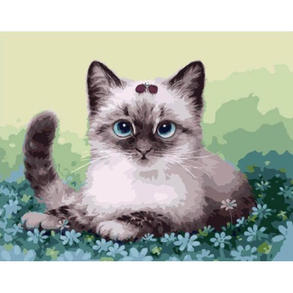 1pc persan Kitty ne-m'Oubliez-pas de Fleurs Chat Chaton Animal de compagnie Acrylique Bricolage Pein - Photo n°1