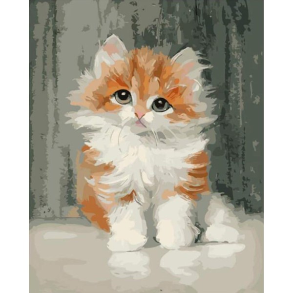 1pc persan Gingembre Orange chat Chaton Chat Animal de compagnie Acrylique Bricolage Peinture Par Nu - Photo n°1