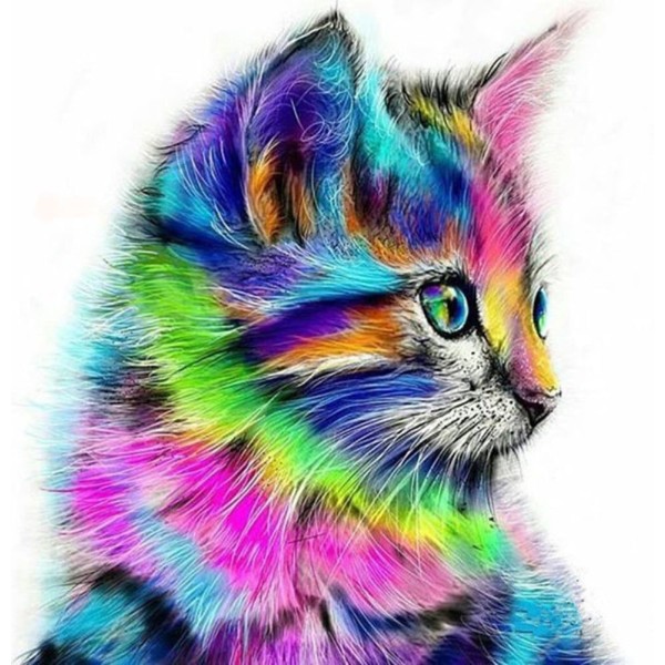 1pc arc-en-ciel Multicolore Moelleux Kitty Chat Animal de compagnie Acrylique Bricolage Peinture Par - Photo n°1