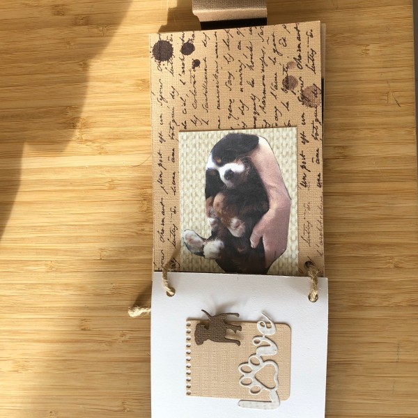 Kit scrapbooking mini album chien 10/15 cm, matériel et tutoriel compris - Photo n°2
