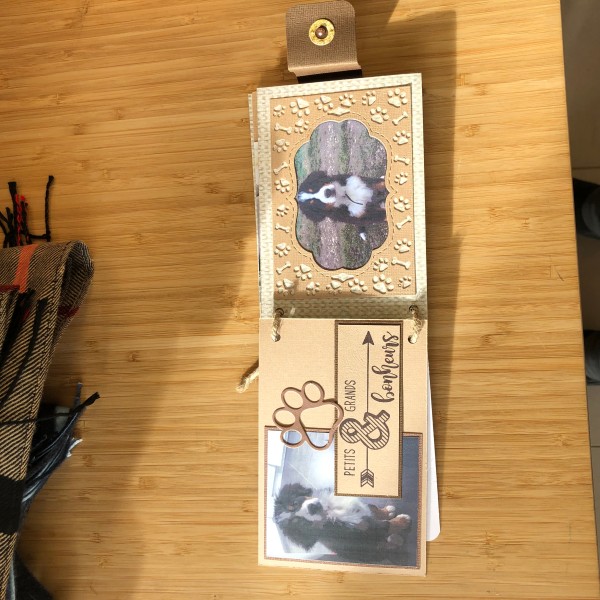 Kit scrapbooking mini album chien 10/15 cm, matériel et tutoriel compris - Photo n°4