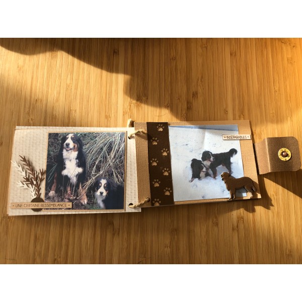 Kit scrapbooking mini album chien 10/15 cm, matériel et tutoriel compris - Photo n°5