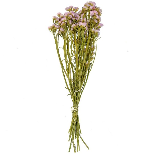 Bouquet de fleurs séchées statice sinuata lilas clair - 45 cm. - Photo n°1