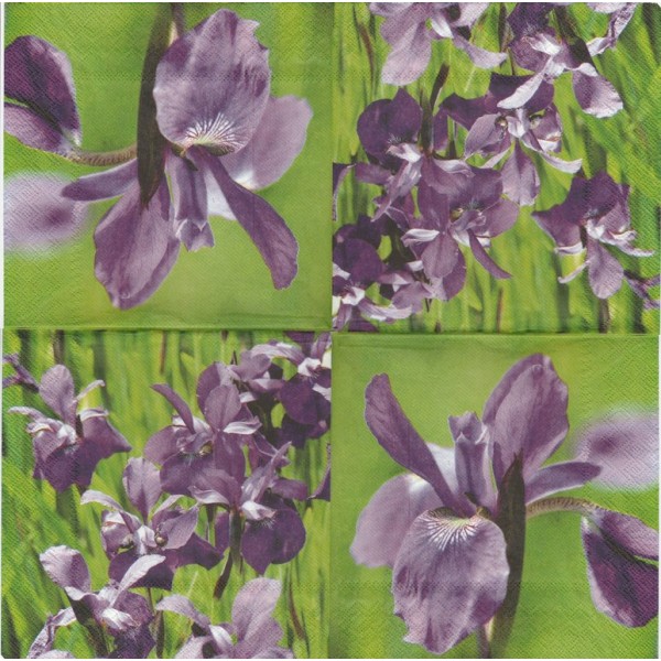 4 Serviettes en papier Fleurs Iris Format Lunch Decoupage Decopatch L-481000 IHR - Photo n°2