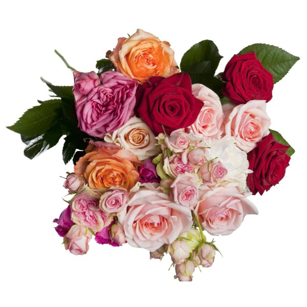 1pc Fleur de la Rose Floral Bouteille d'Huile de Parfum Floral Savon Bougie de Bricolage Crème Cosmé - Photo n°1