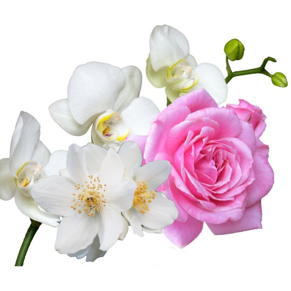 1pc Jasmin Rose Orchidée Mélange Floral de Bouteille de Parfum de Savon à l'Huile de Bougie de Brico - Photo n°1