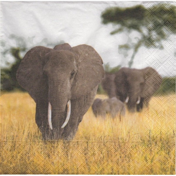 4 Serviettes en papier Famille éléphant Format Lunch Decopatch 21924 Paper+Design - Photo n°1