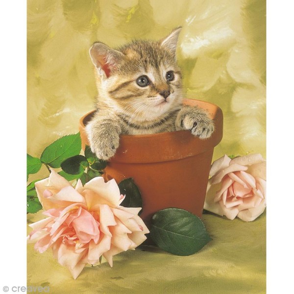 Image 3D Animaux - Chaton et pot de fleur - 24 x 30 cm - Photo n°1