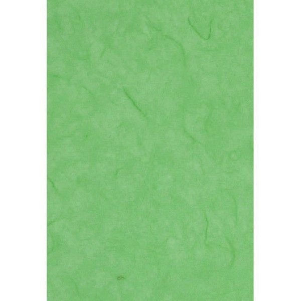Lot de 2 feuilles de Papier de soie en fibres de mûrier, Vert clair, dim. 47 x 64 cm - Photo n°1