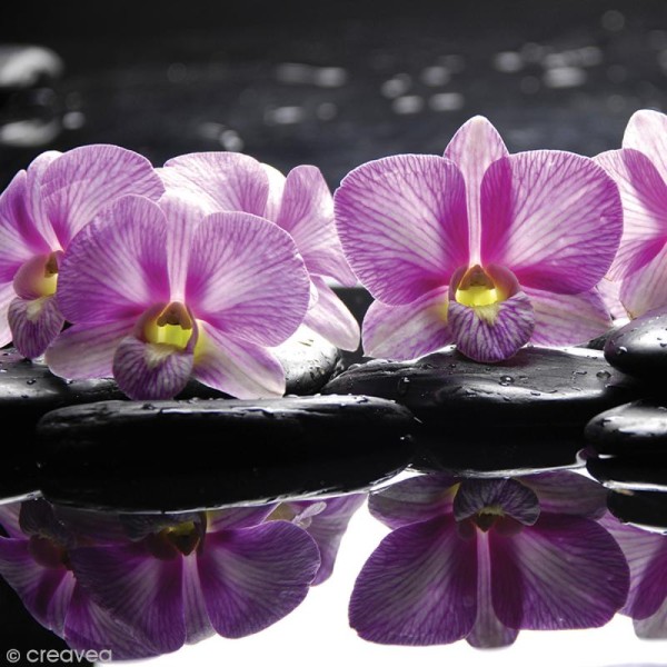 Image 3D Fleur - Orchidées sur cailloux - 30 x 30 cm - Photo n°1