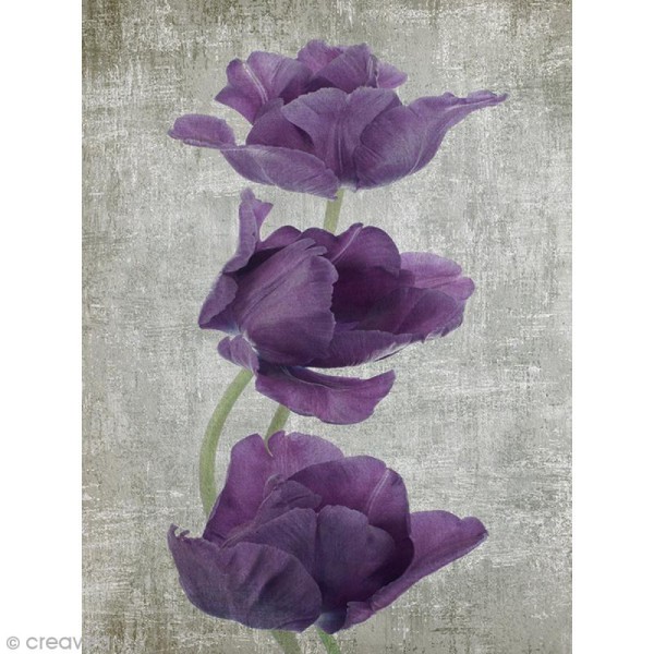 Image 3D Fleur - Coquelicot violet - 30 x 40 cm - Photo n°1