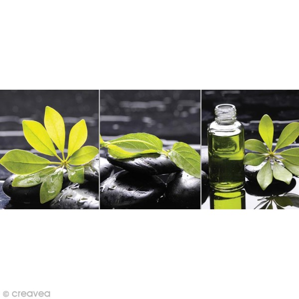 Image 3D Zen - Triptyque Zen - 20 x 50 cm - Photo n°1