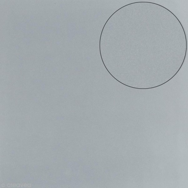 Papier scrapbooking Bazzill 30 x 30 cm - Mousse Adhésive - Gris - Photo n°1